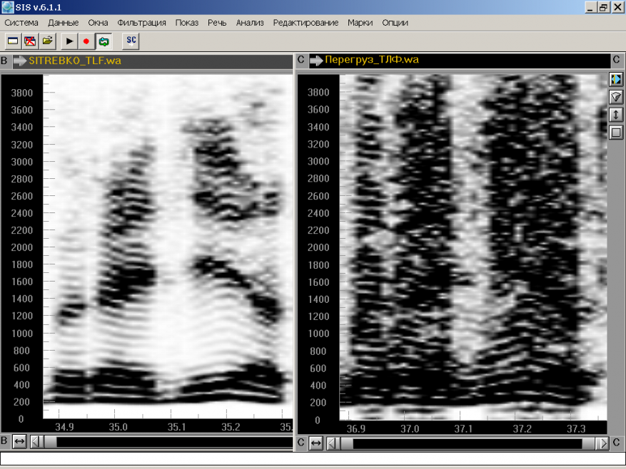 идентификация по голосу